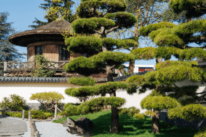 Japanischer Garten in derParkanlage Blühender Barock in Ludwigsburg