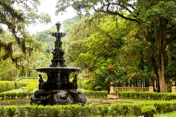 Jardín Botánico de Rio de Janeiro (Getty Images)