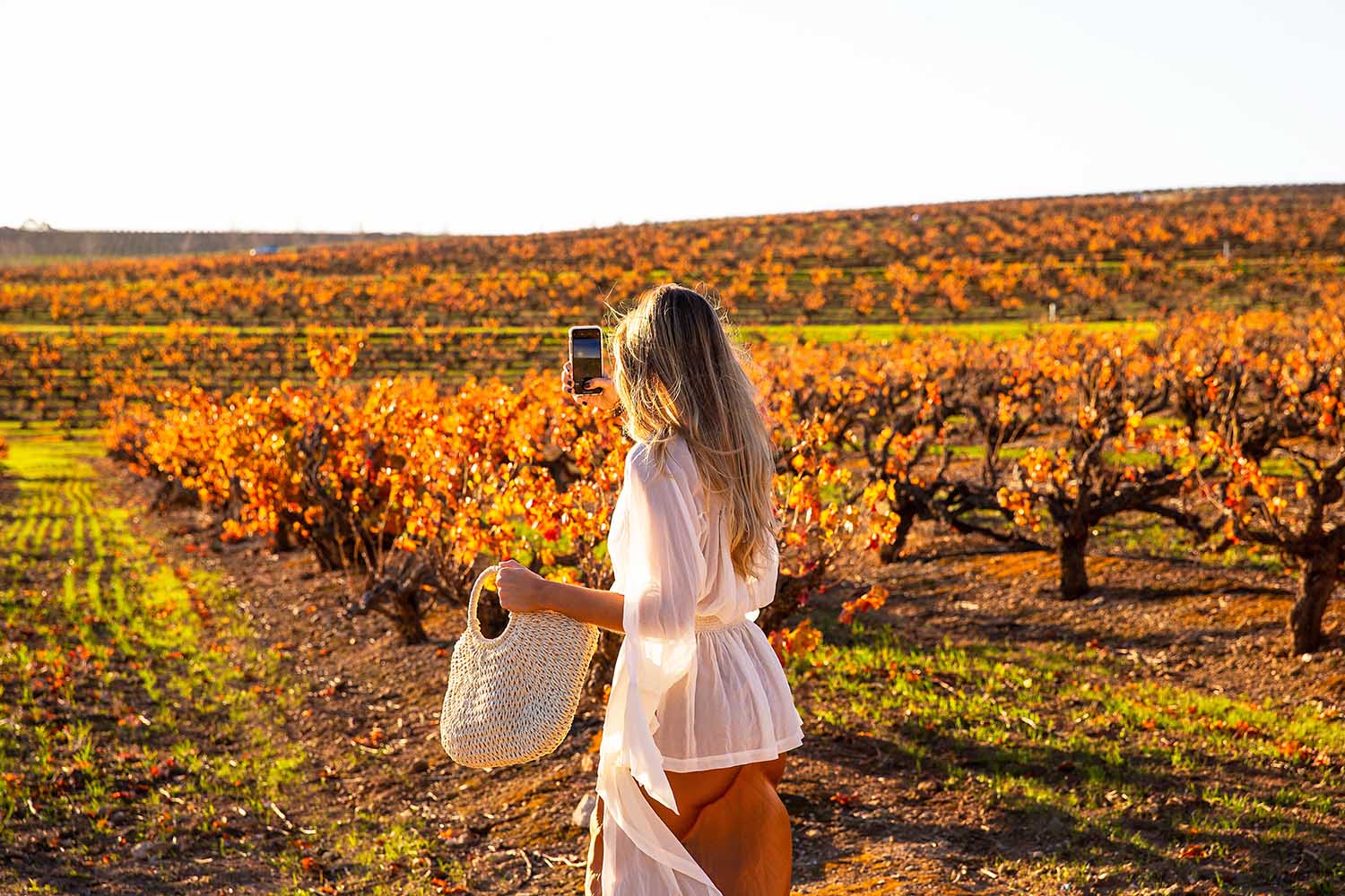 Josie Withers - Tourism South Australia