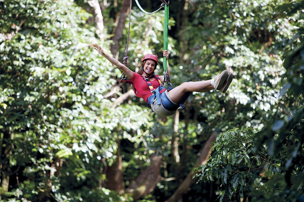 Jungle surfing canopy, Tourism Port Douglas and Daintree