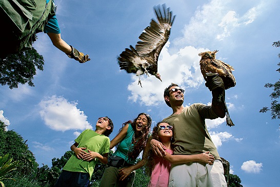 Jurong Bird Park, Singapore Tourism Board