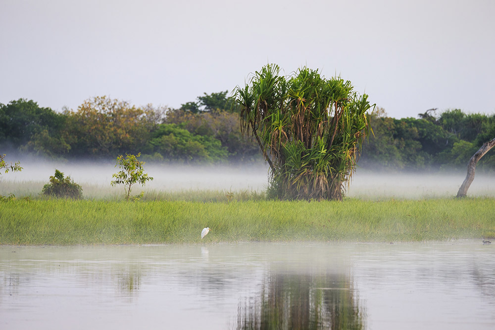 Kakadu NT - Tourism Australia