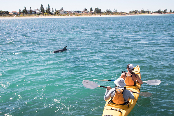 Kayaking in the Shoalwater Islands