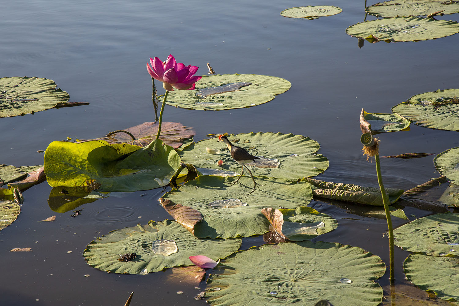 Northern Territory - Tourism Australia