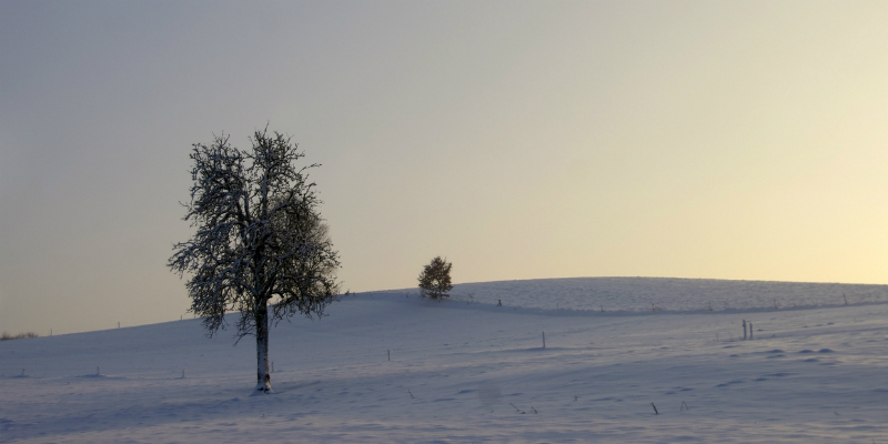 Zuid-Limburg winter