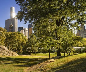 Dévorer un bon livre à Central Park
