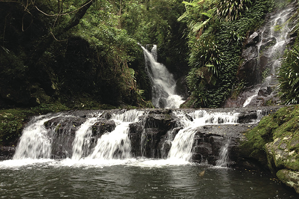 Loganfoote Hiking Mt Tamborine. Credit: Tourism and Events Queensland