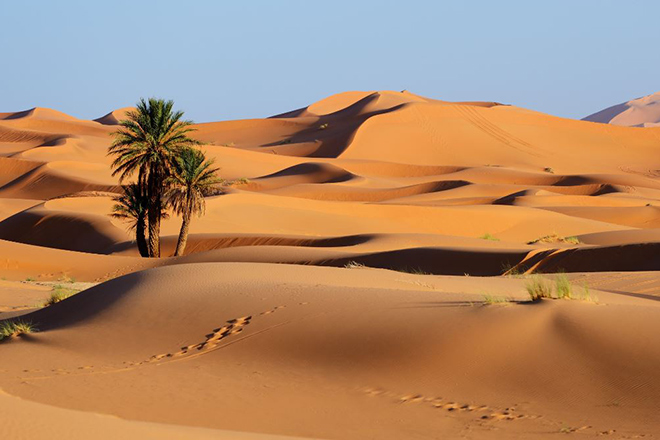 désert maroc