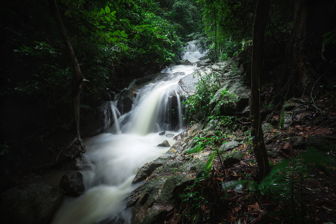 parks in phuket