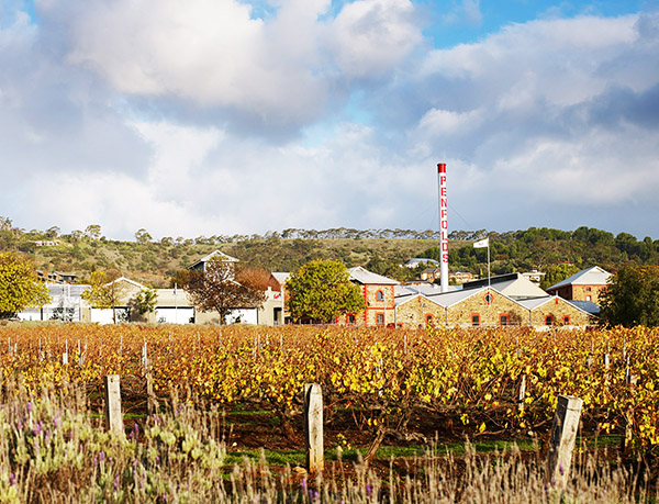 Penfolds Magill Estate