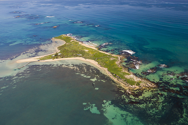 Penguin Island, WA. Image credit: Tourism Australia