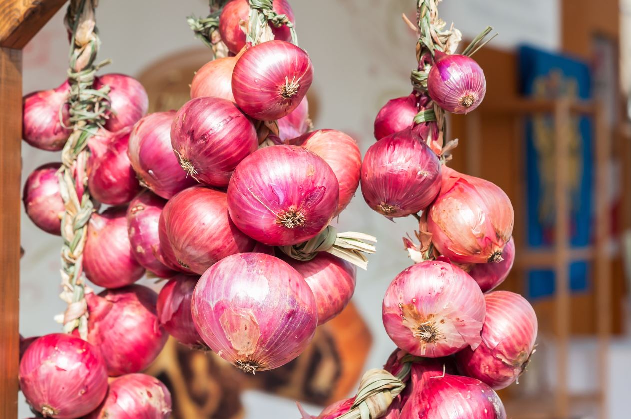 onions market