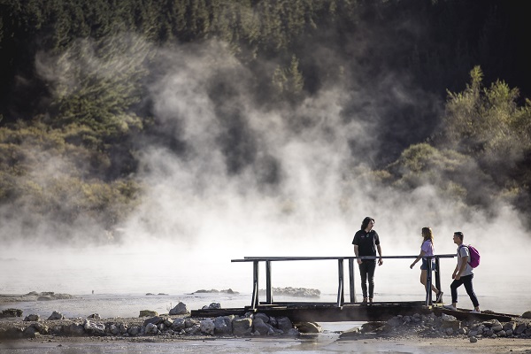 Rotorua hot springs creating a steamy vista. Image credit: Tourism NZ