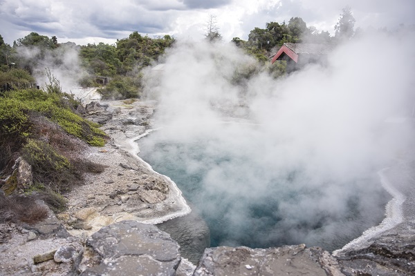 Steamy views across Rotorua hot springs. Image credit: Tourism NZ