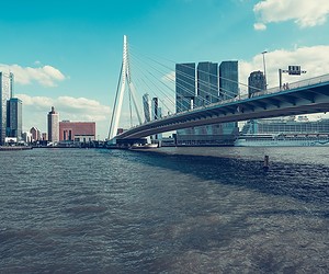 Rotterdam-brug