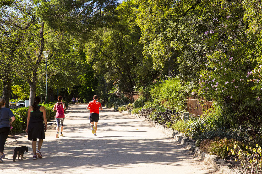 Royal Botanic Gardens, Melbourne