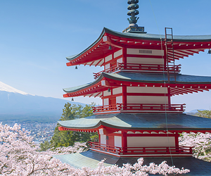 Sakura Season in Japan