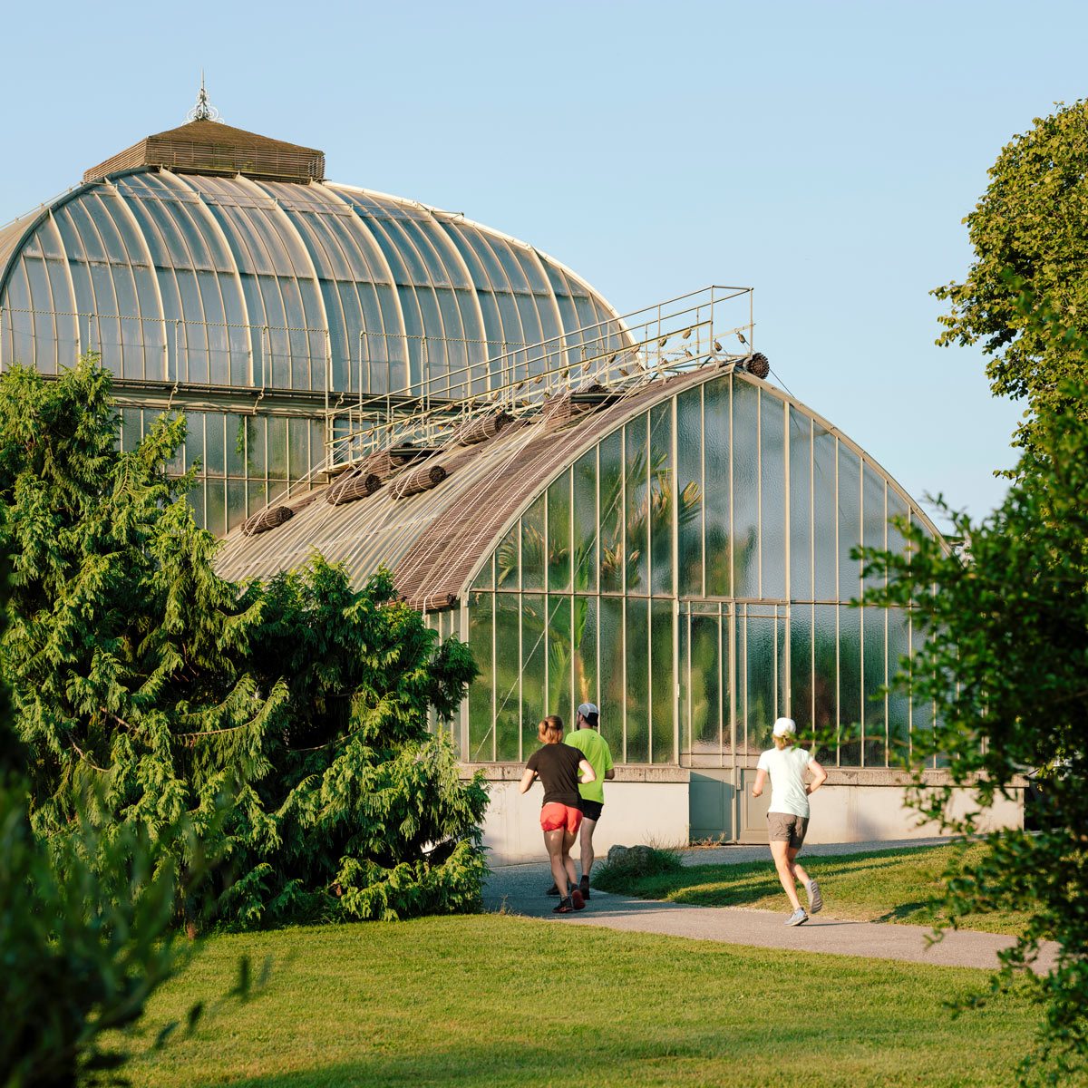 samuel zeller Konservatorium und botanischer Garten der Stadt Genf