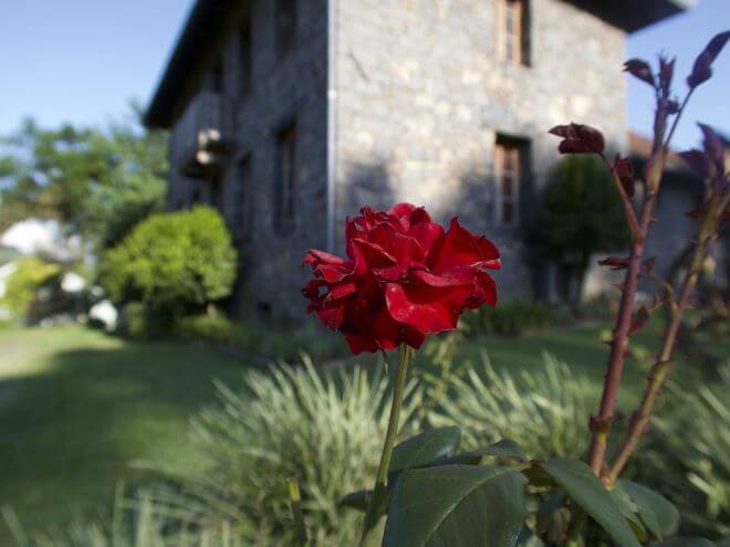 Serra Gaúcha com flor vermelha, grama verde e um casarão antigo cinza destino romântico de outono