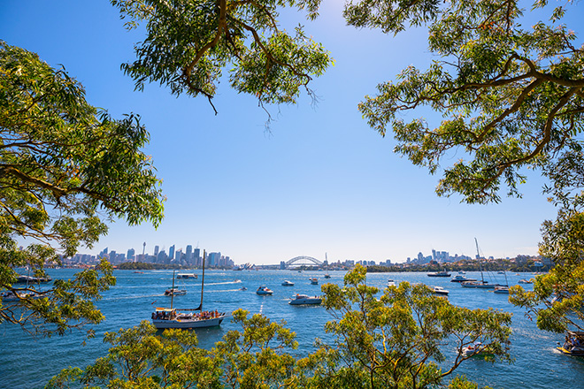 Sydney Harbour from Bradleys Head