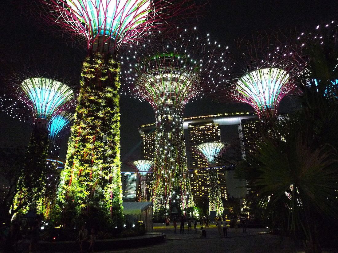 The Supertree Grove by night. Source: Tee Eric