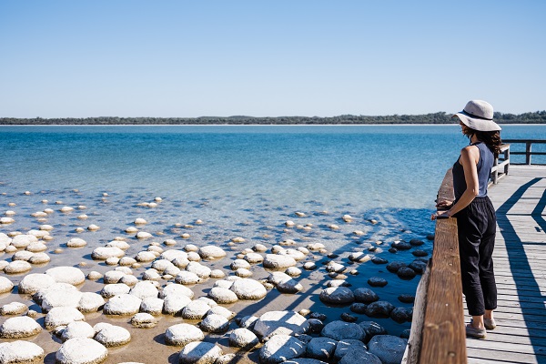 The pier over the Thrombolites at Lake Clifton
