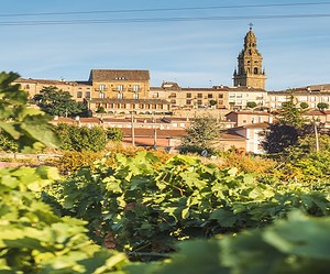 Curiosidades de La Rioja para saber antes de tu próximo viaje  