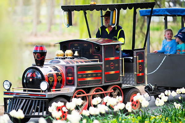 There are plenty of activities to keep the little ones entertained. Credit: VisitCanberra