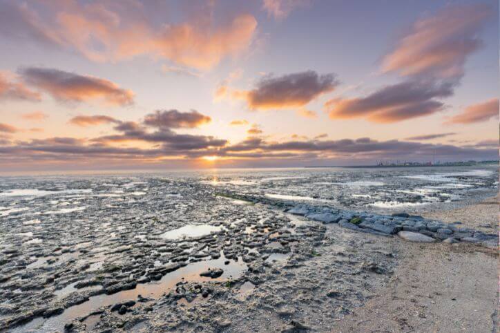 Sonnenuntergangslandschaft des UNESCO-Weltnaturerbes Wattenmeer in den Niederlanden