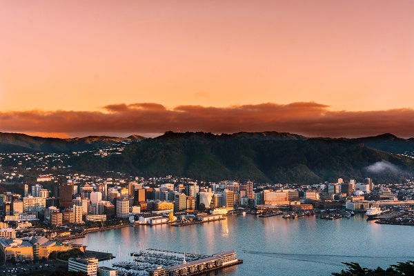 DISCOVER THE BEST OF WELLINGTON