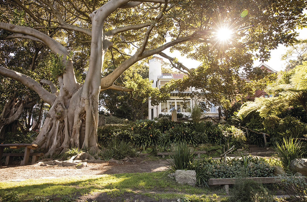 Wendy Whiteley's Secret Garden, Lavendar Bay. Destination NSW