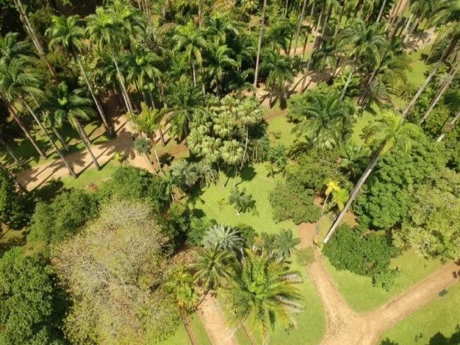 Vista aérea do jardim botânico do Rio de Janeiro