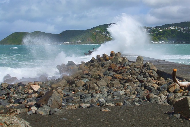 Island Bay Wellington