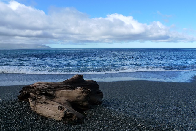 Red Rock Wellington Coast