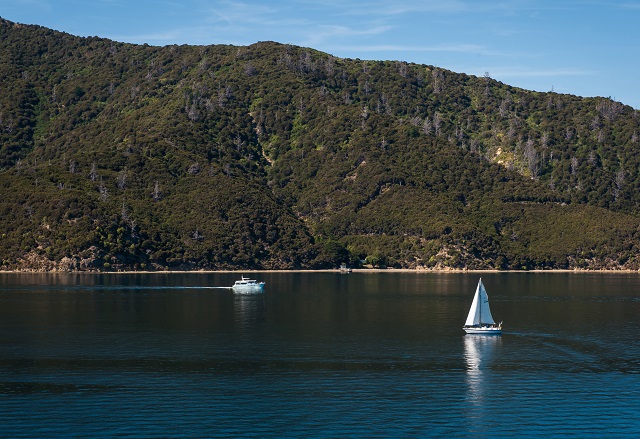 Wellington South Coast