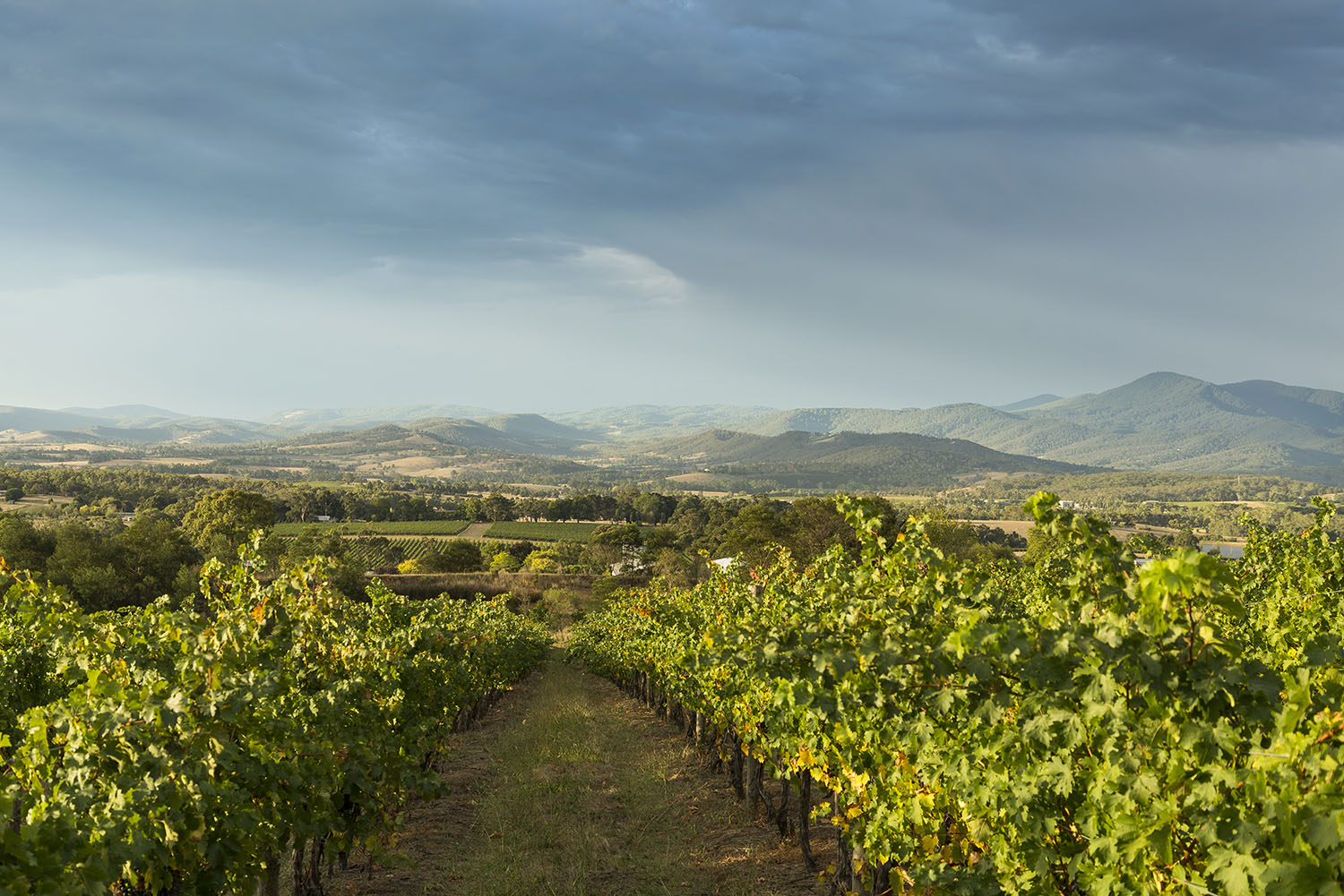 Yarra Valley, Victoria