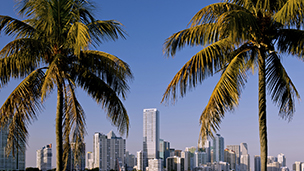 United States - Miami hotels